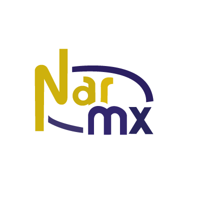 narmx-color